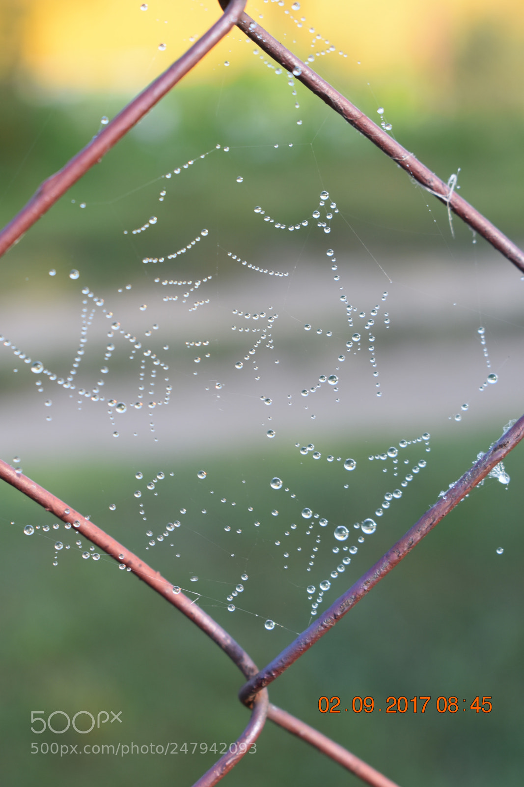 Nikon D3400 sample photo. Untitled photography