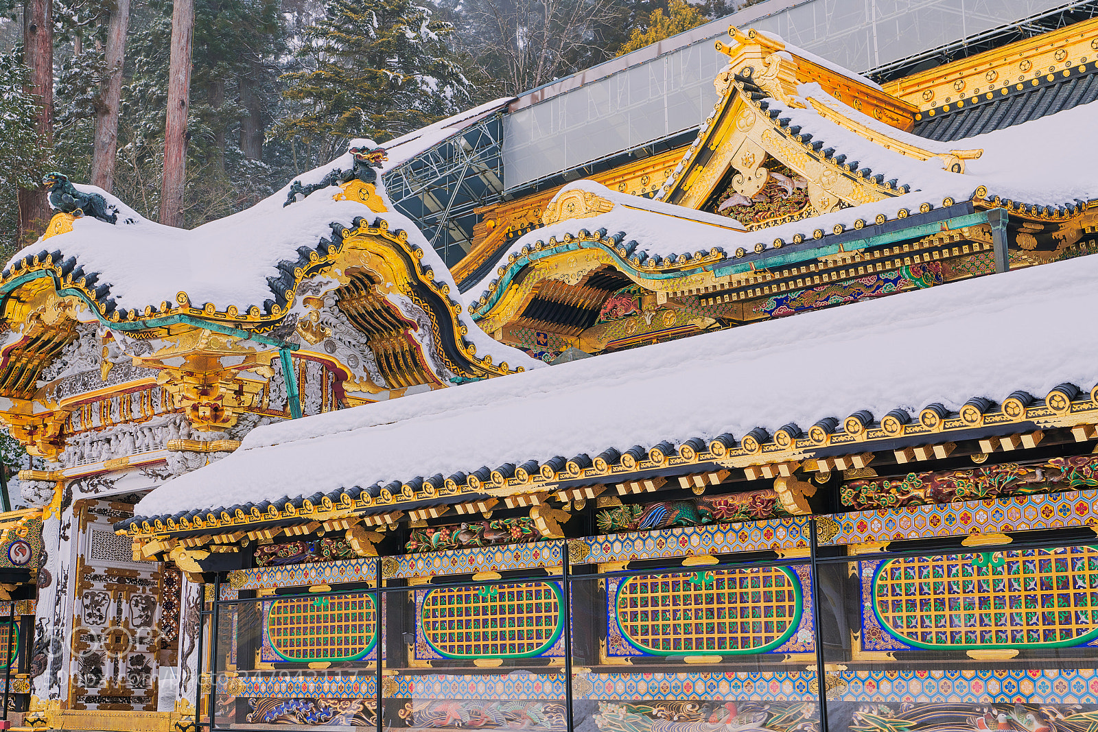 Nikon D850 sample photo. The power of tokugawa photography