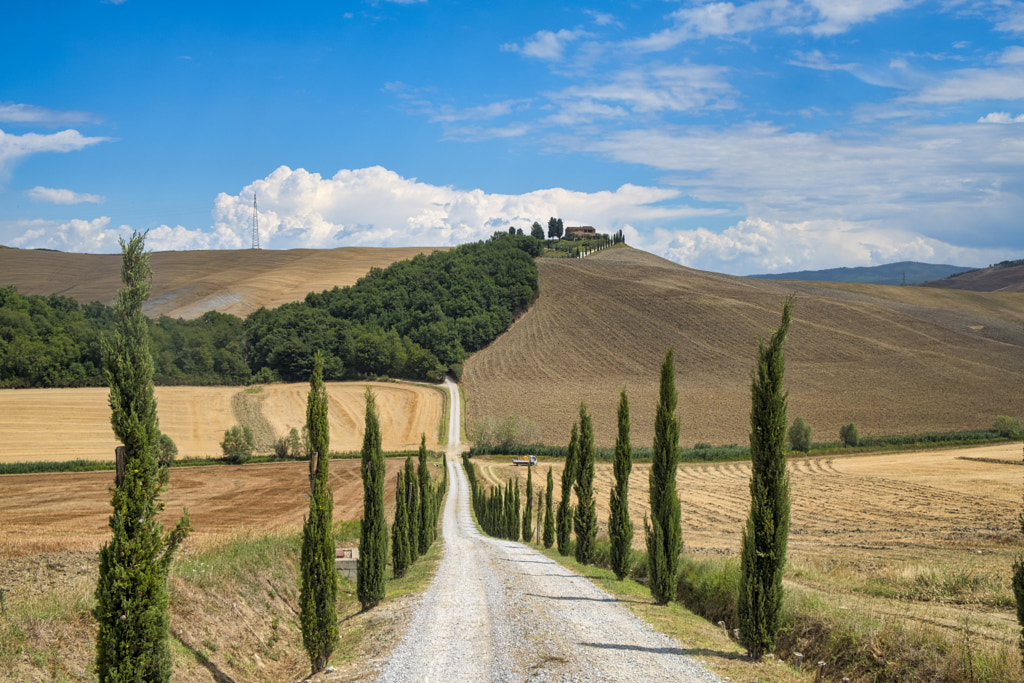 Tuscany: the road to Torre a Castello by Claudio G. Colombo on 500px.com