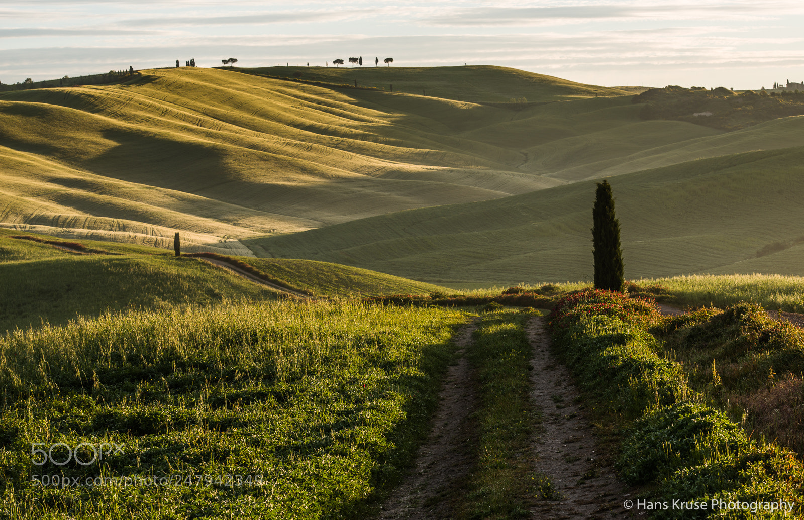 Nikon D800E sample photo. Morning light photography