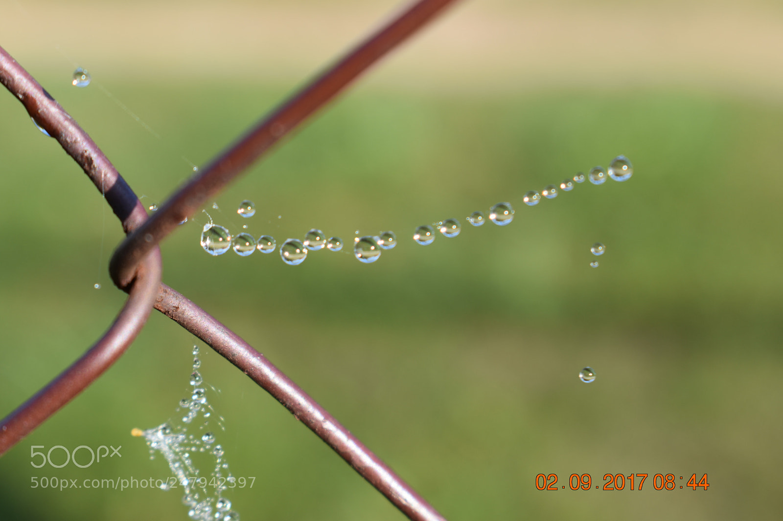 Nikon D3400 sample photo. Untitled photography
