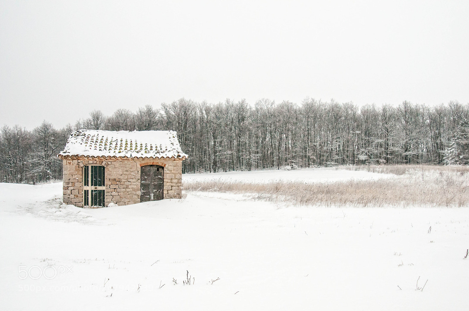 Nikon D300S sample photo. Tiny house photography