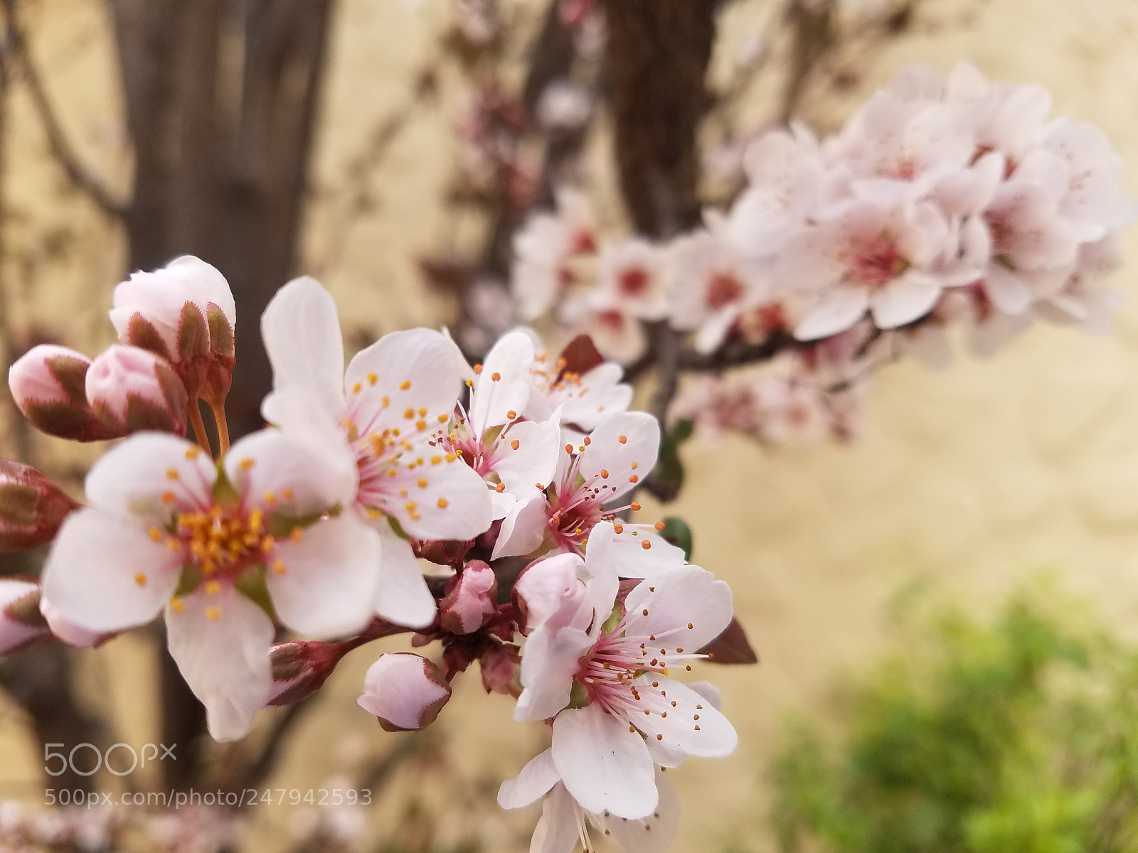 Samsung Galaxy S7 Edge sample photo. Untitled photography