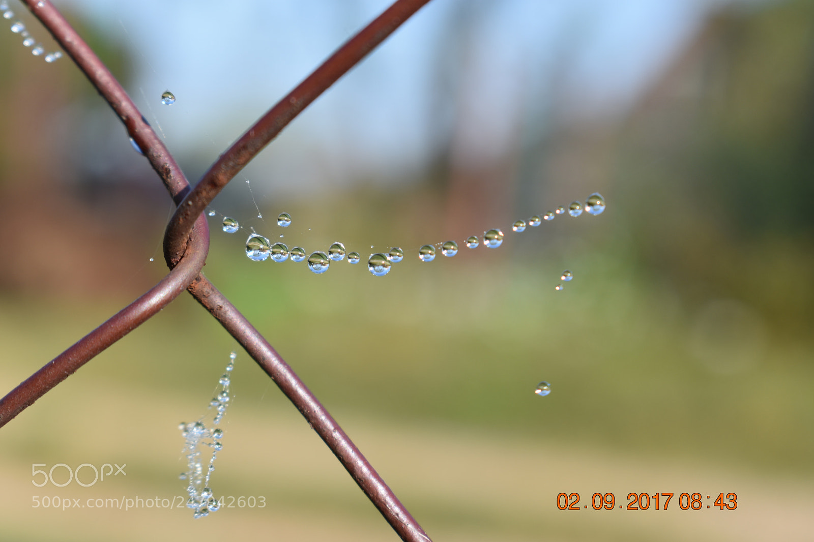 Nikon D3400 sample photo. Untitled photography