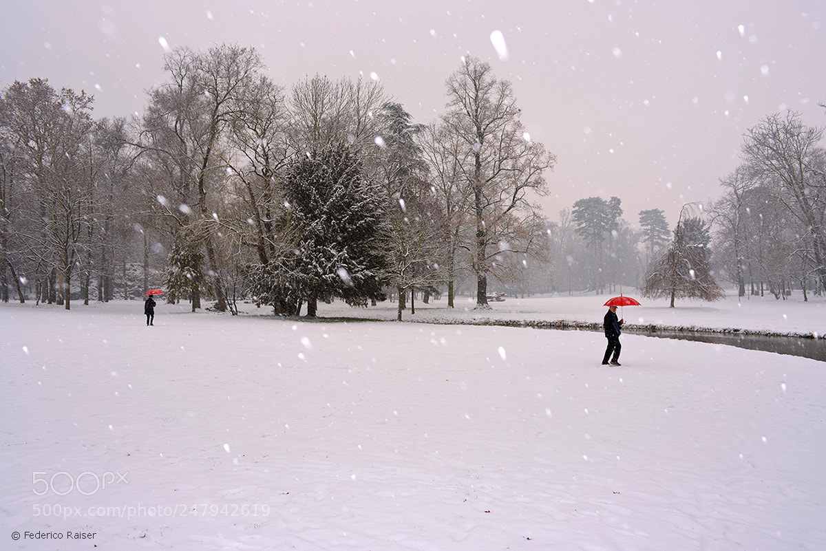 Nikon D800 sample photo. Parco photography