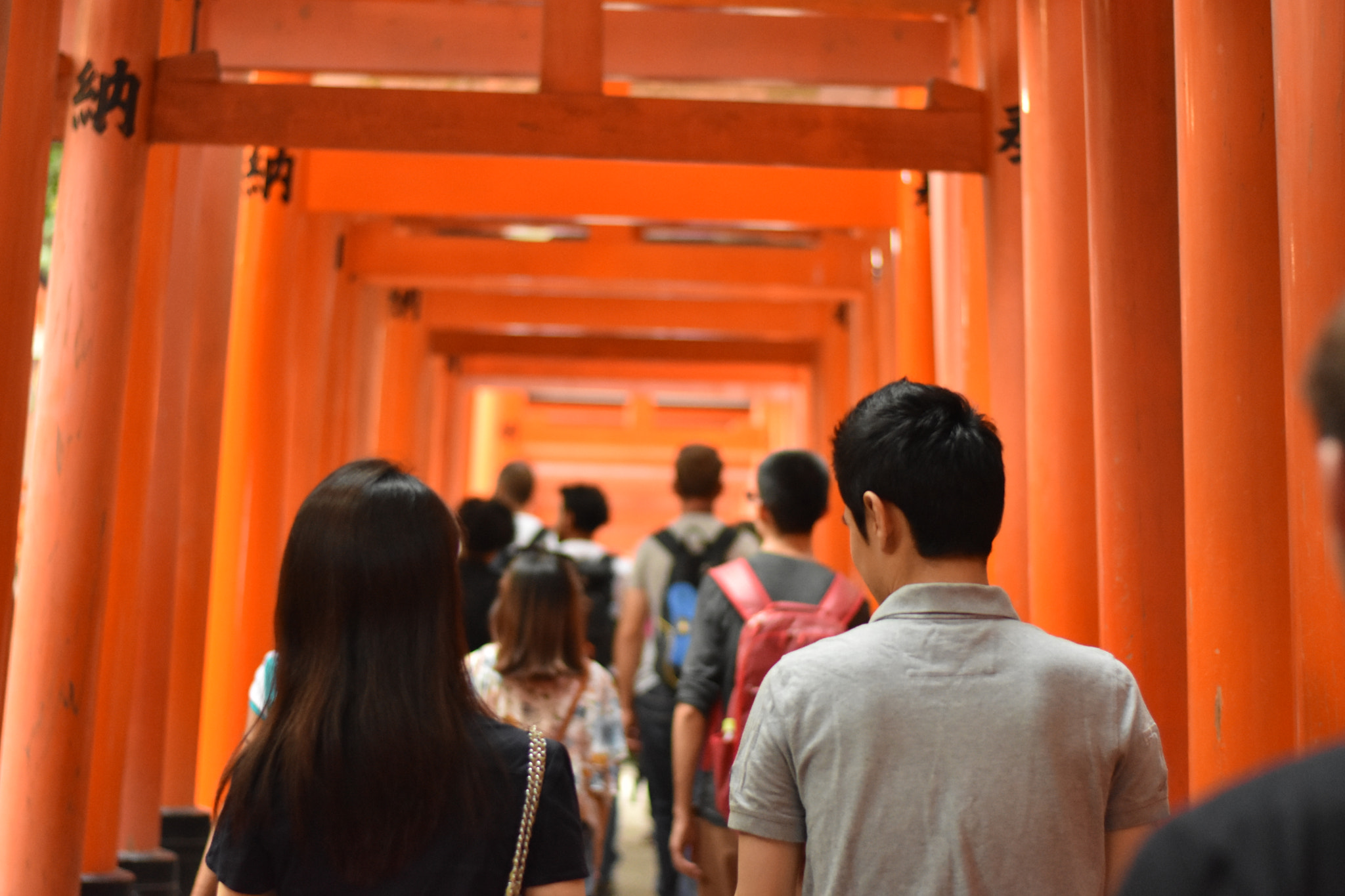 Nikon D3400 + Nikon AF-S Nikkor 50mm F1.8G sample photo. Kyoto, japan 10/17 photography