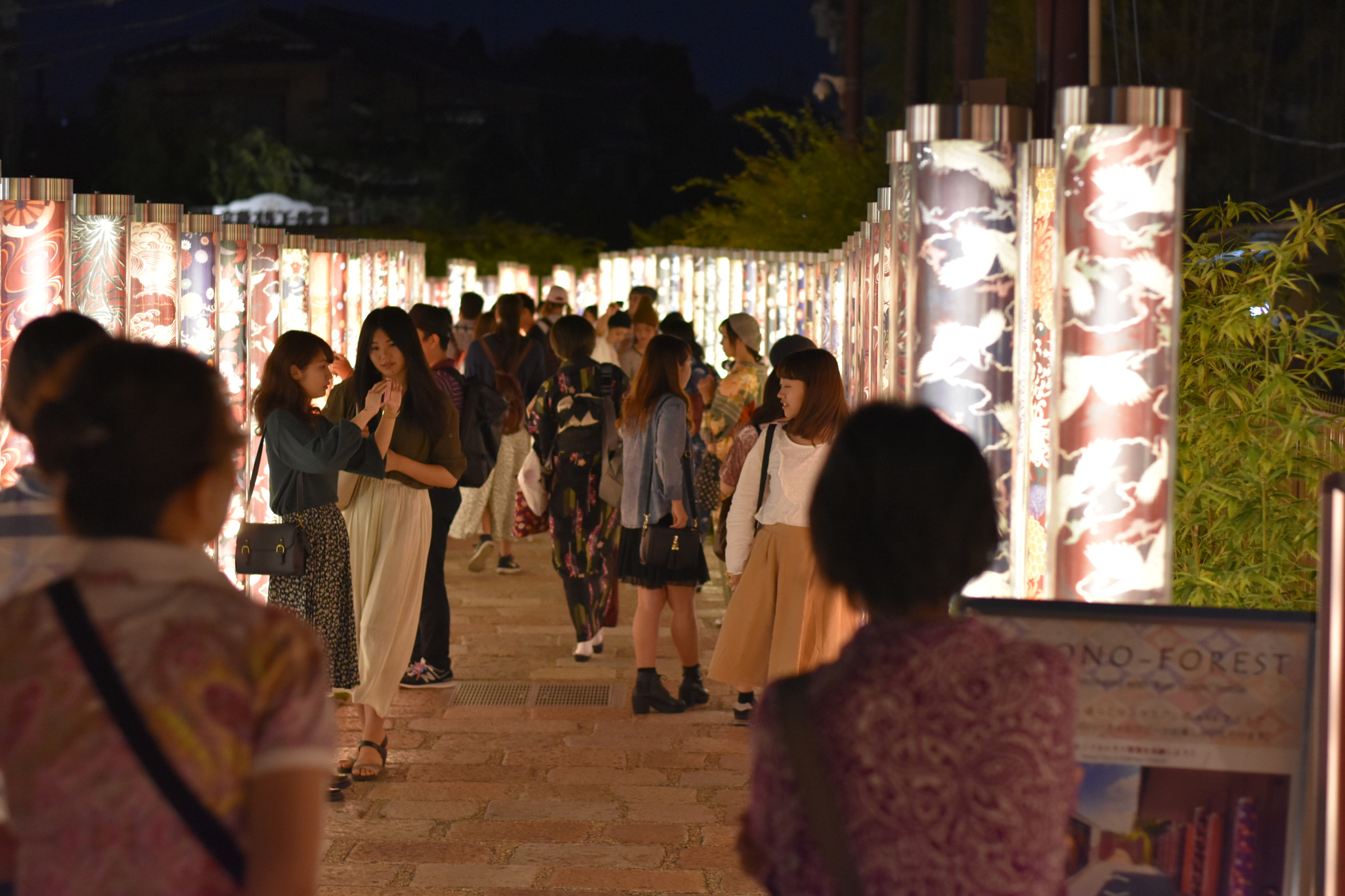 Nikon D3400 + Nikon AF-S Nikkor 50mm F1.8G sample photo. Kyoto, japan 10/17 photography