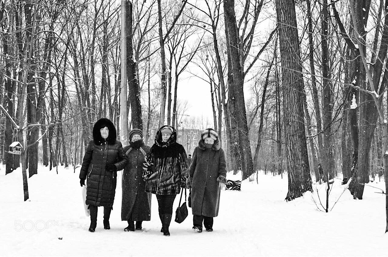 Nikon D5100 sample photo. Winter walking photography