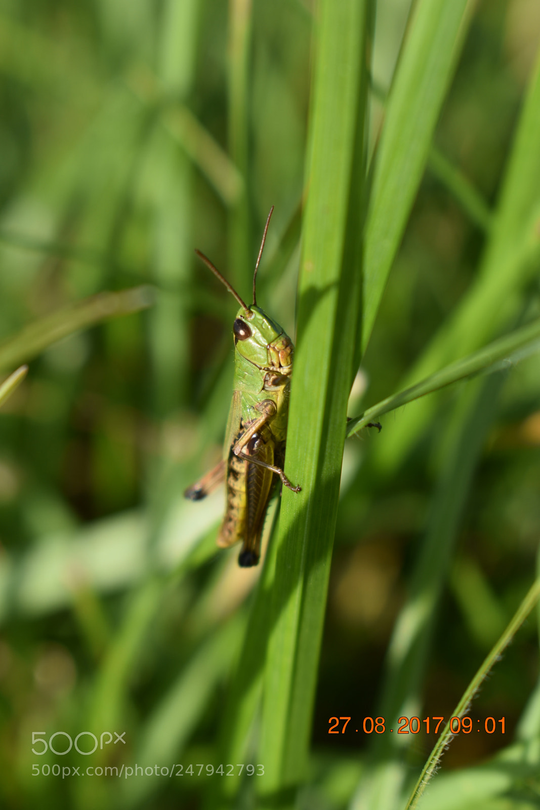 Nikon D3400 sample photo. Untitled photography