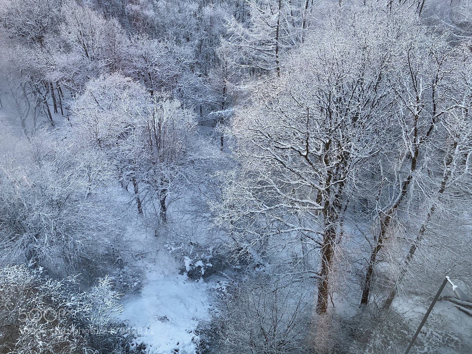 Apple iPhone 8 Plus sample photo. It's a very cold photography