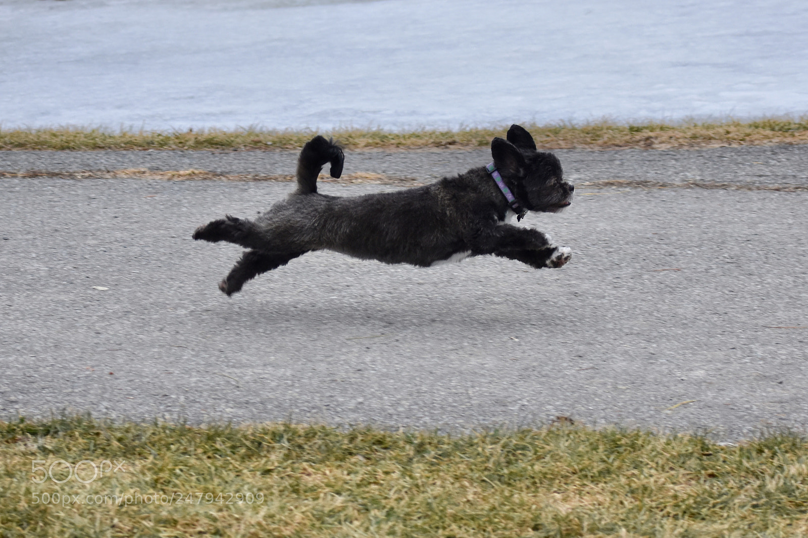 Nikon D3400 sample photo. On the runway and photography