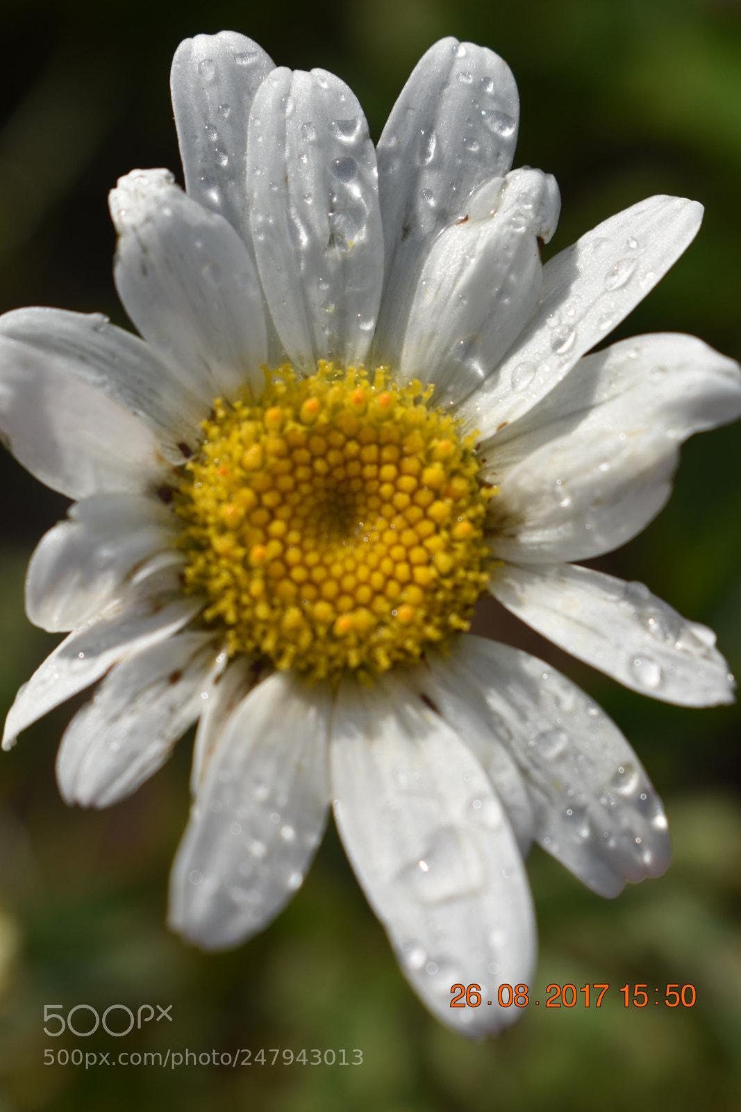Nikon D3400 sample photo. Untitled photography