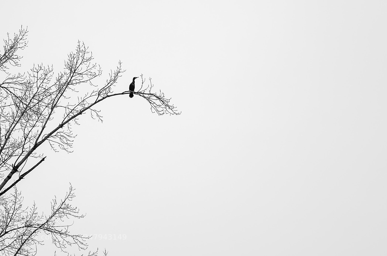 Canon EOS 6D Mark II sample photo. Untitled photography