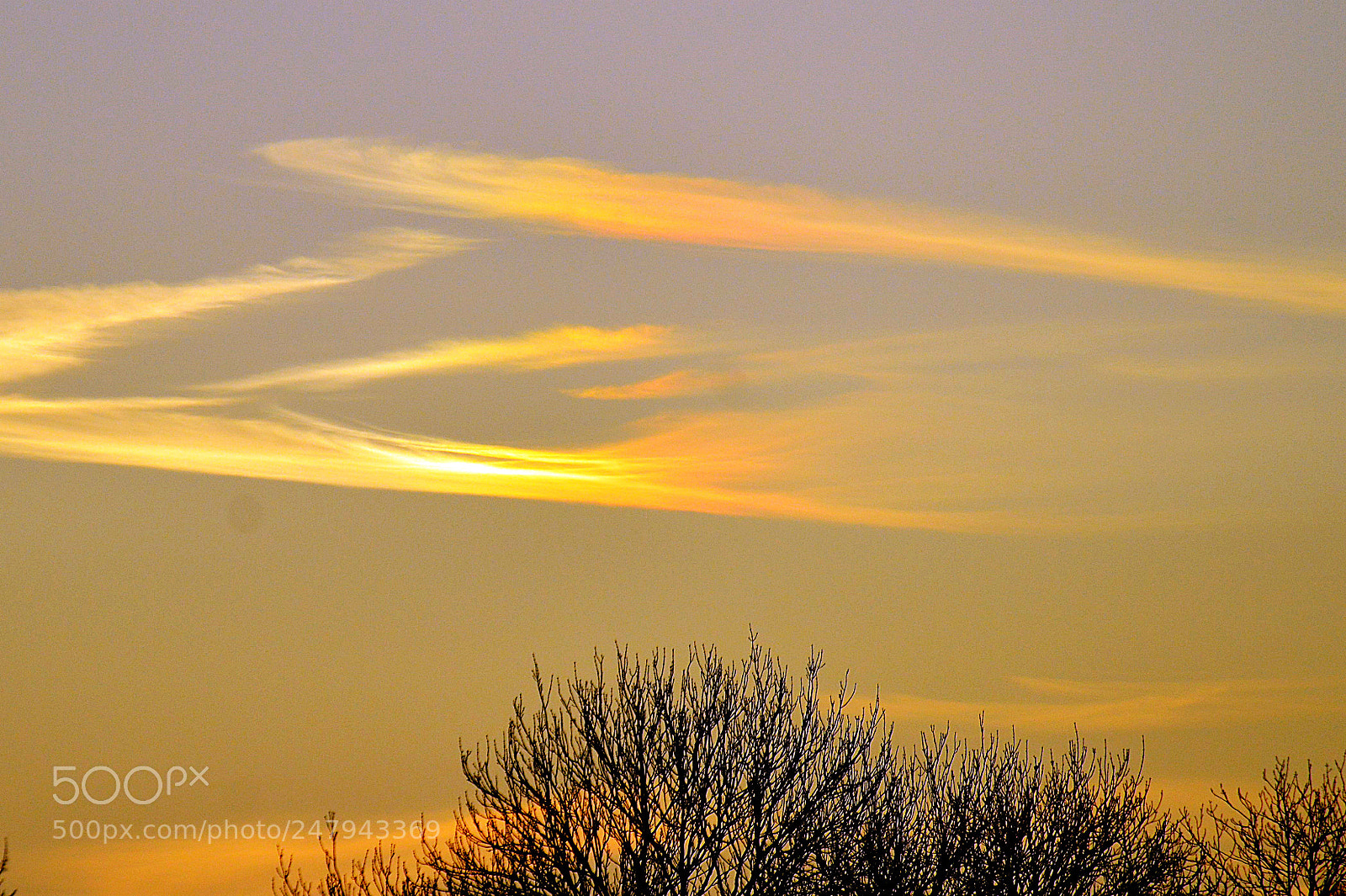 Nikon D3200 sample photo. Nature photography