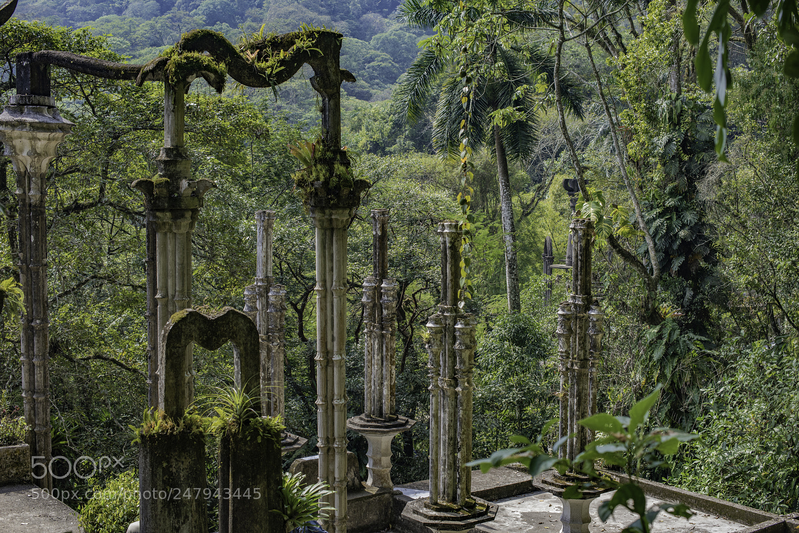 Nikon D810 sample photo. Secret garden 1 photography