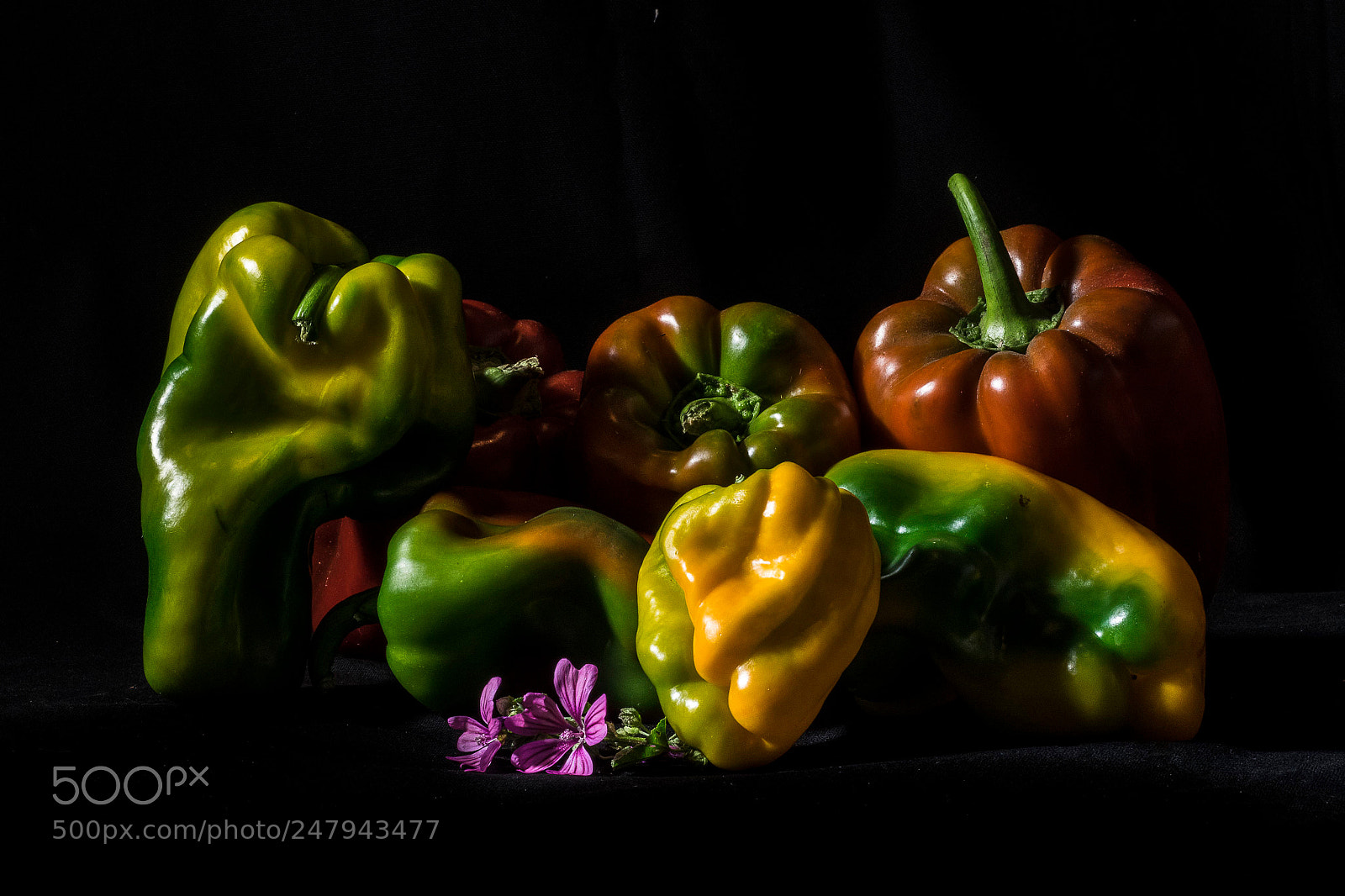 Sony a7R sample photo. Peppers. photography