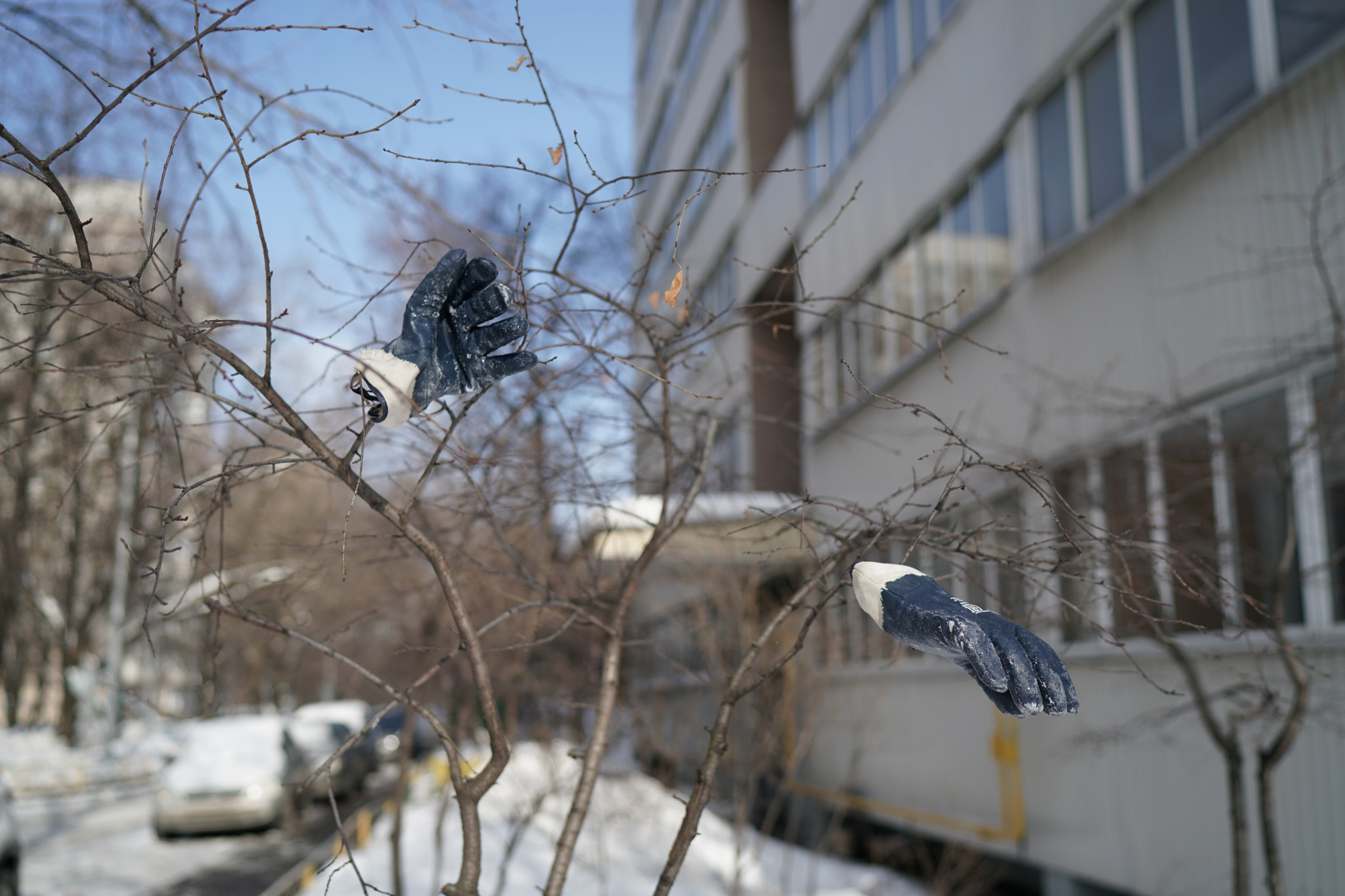 Sony a9 sample photo. Gloves photography