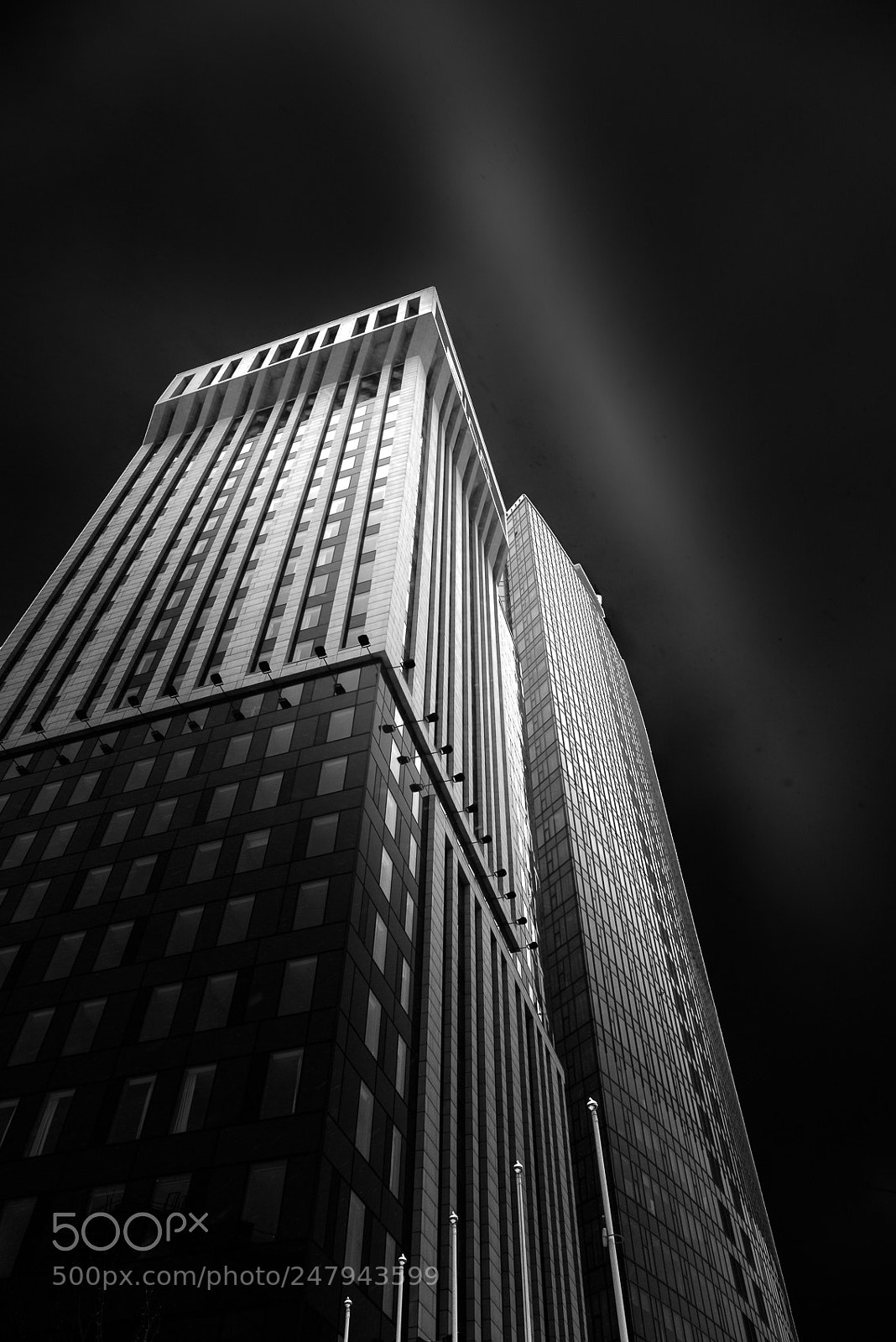 Nikon D810 sample photo. Untitled photography