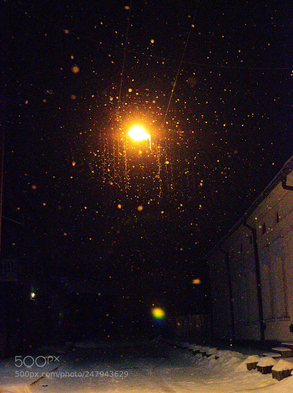 Nikon D5100 sample photo. Night light photography