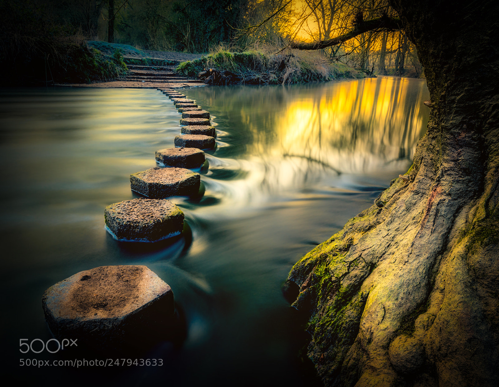 Nikon D810 sample photo. Stepping stones photography
