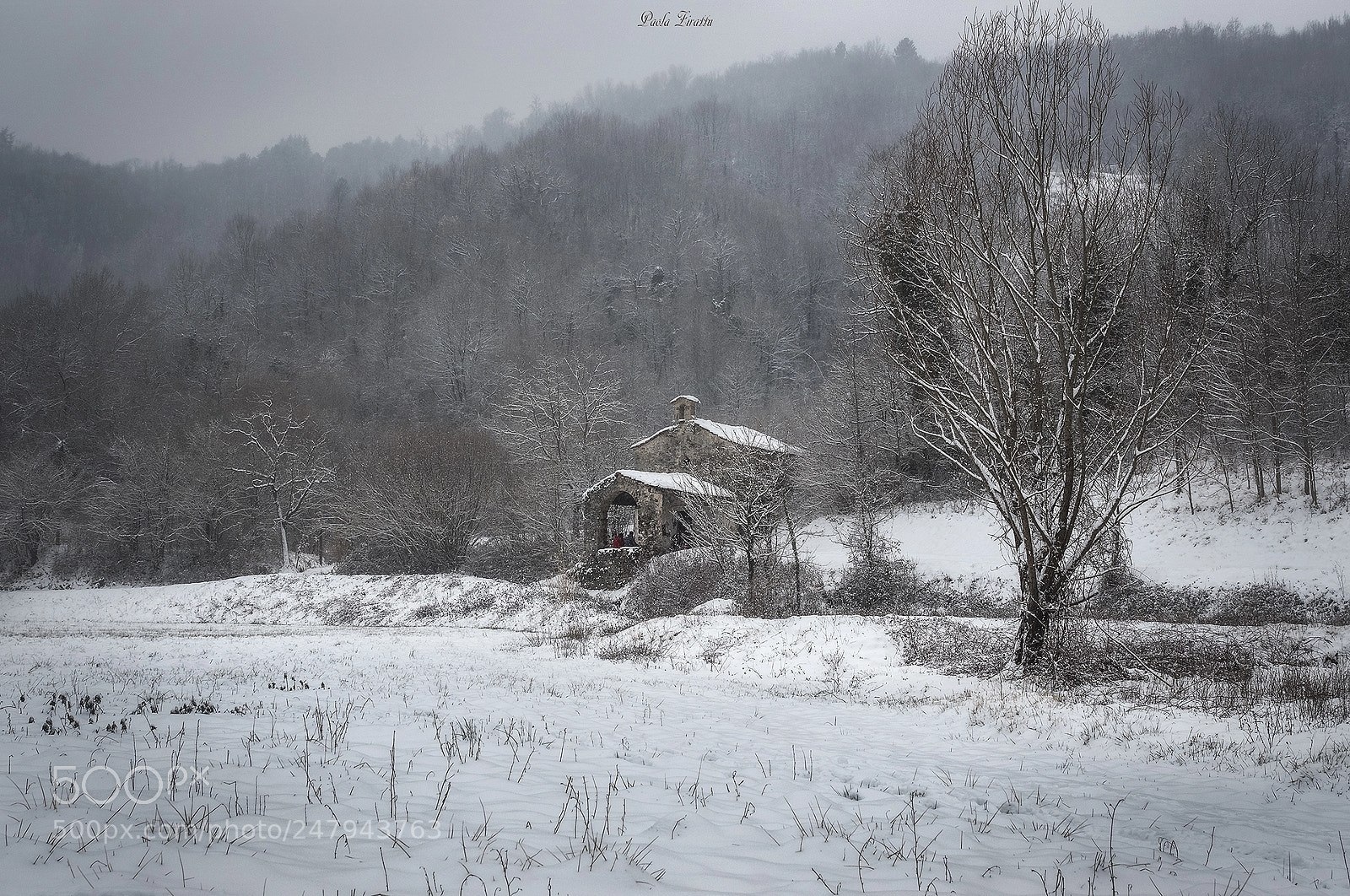 Olympus OM-D E-M5 II sample photo. Silenzi photography