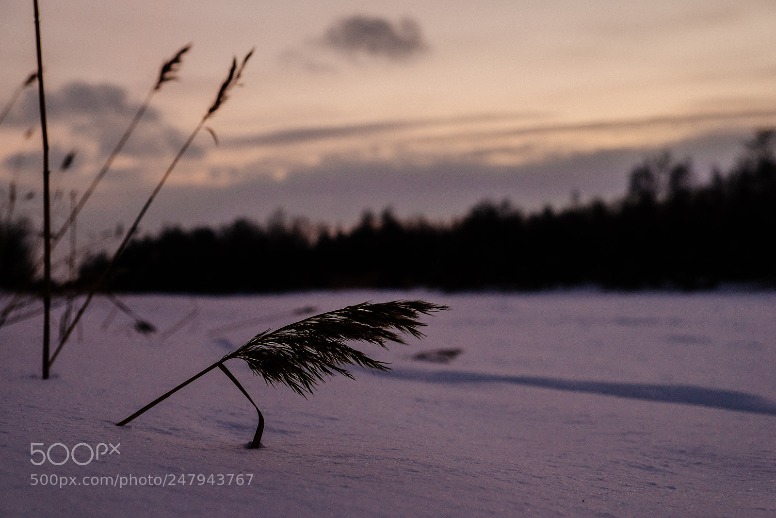 Fujifilm X-T1 sample photo. Deep photography