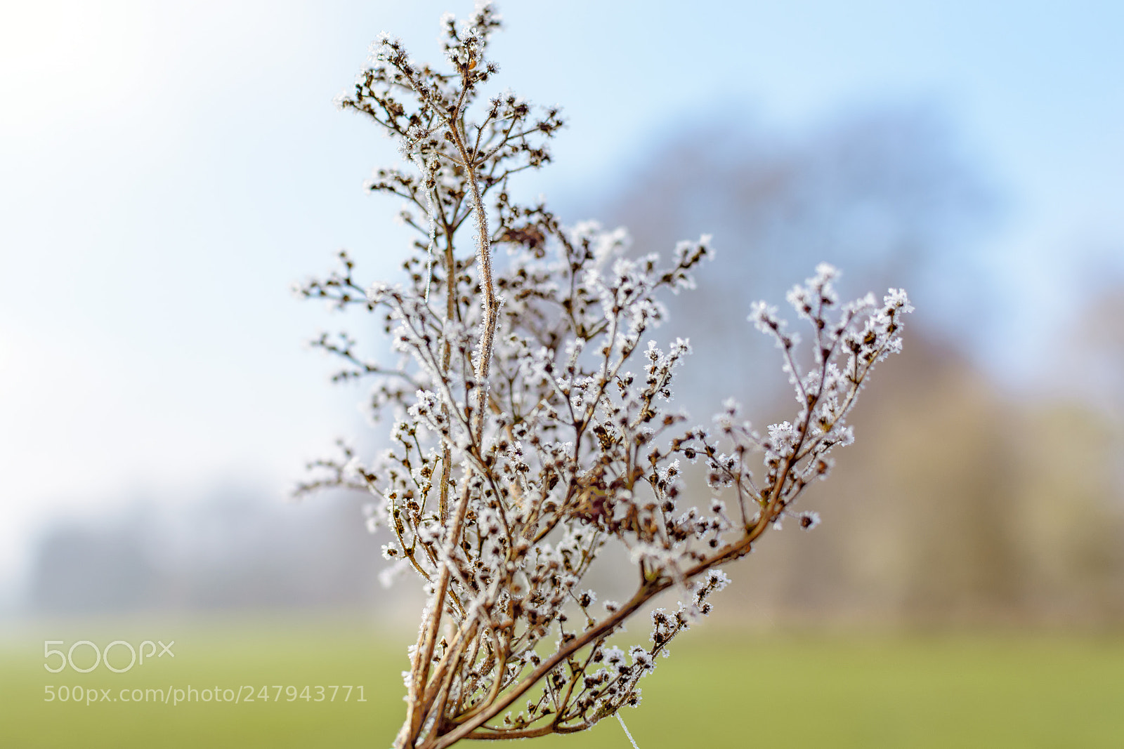 Nikon D5200 sample photo. Freezing photography