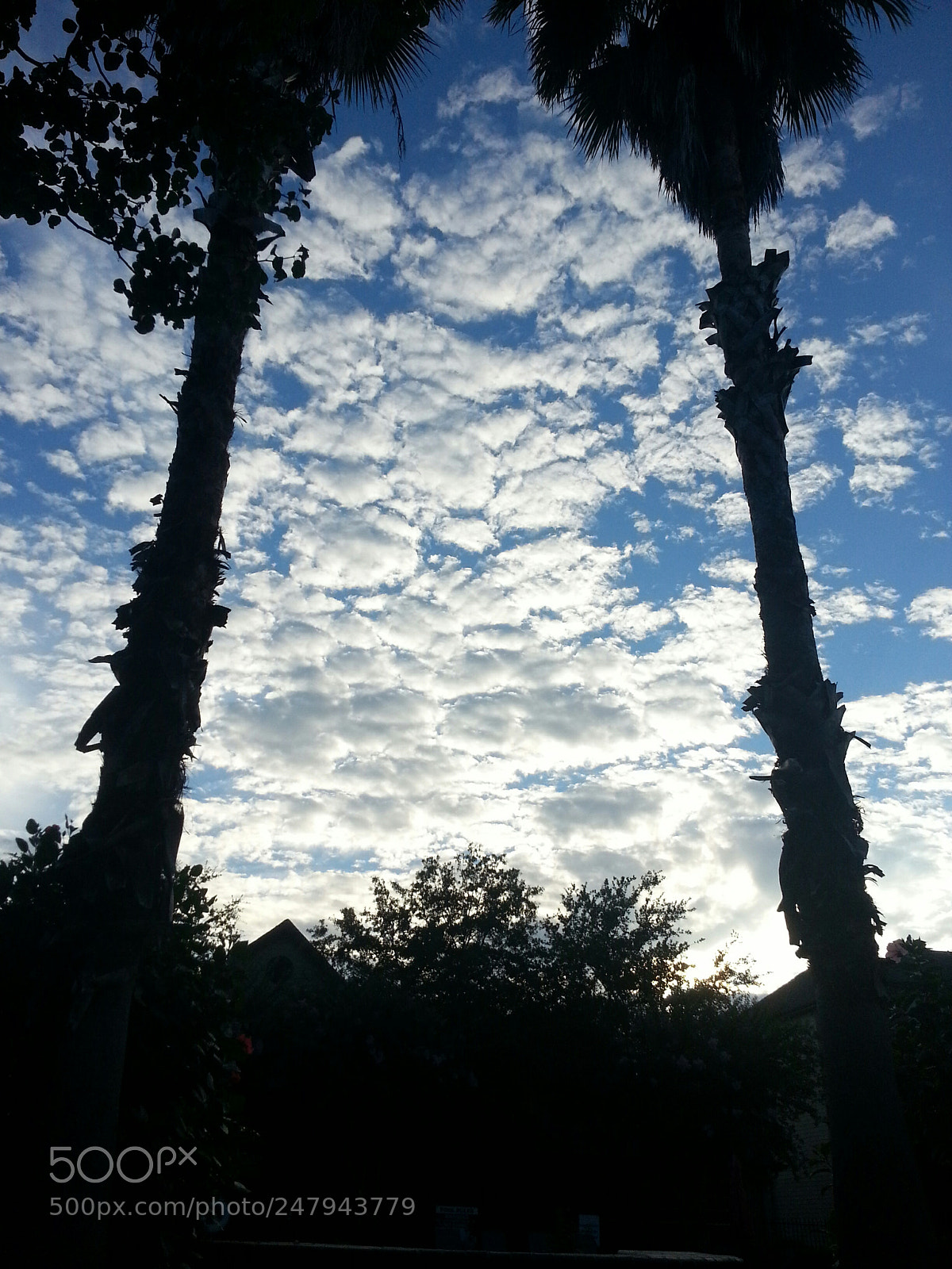 Samsung Galaxy Note2 sample photo. Cloud reach photography