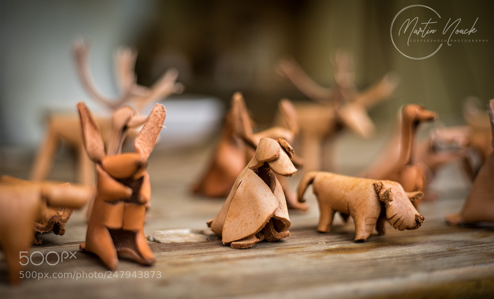 Sony a7 II sample photo. Ledertiere photography