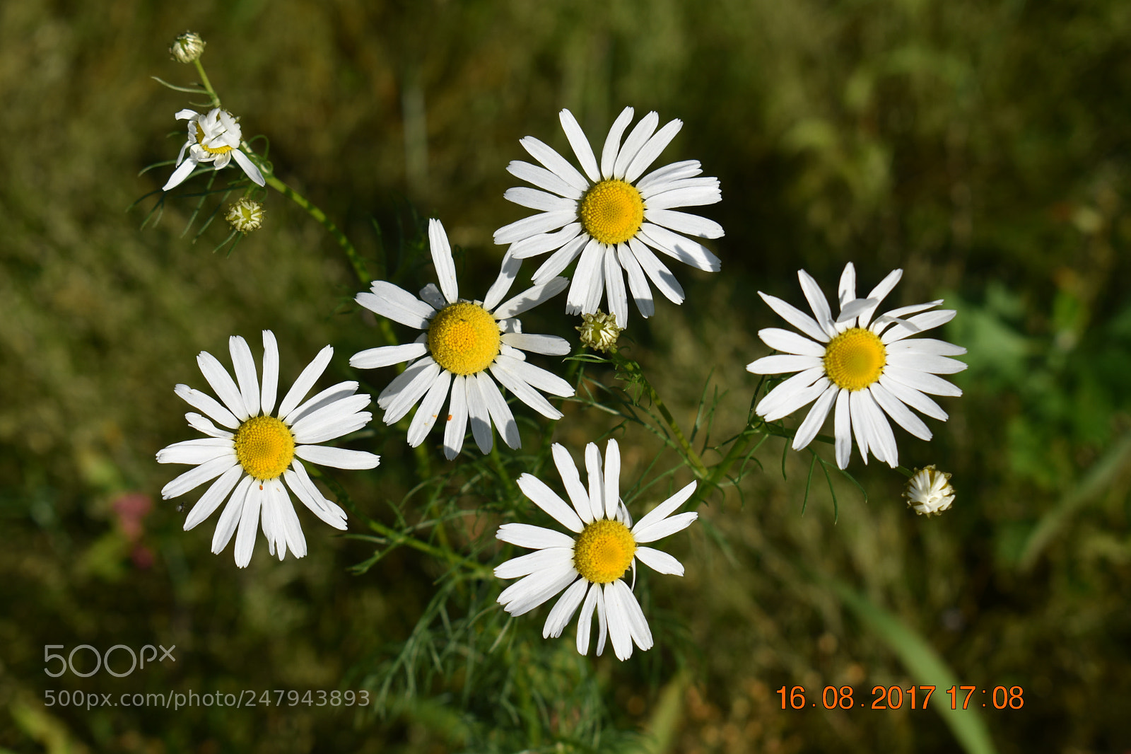 Nikon D3400 sample photo. Untitled photography