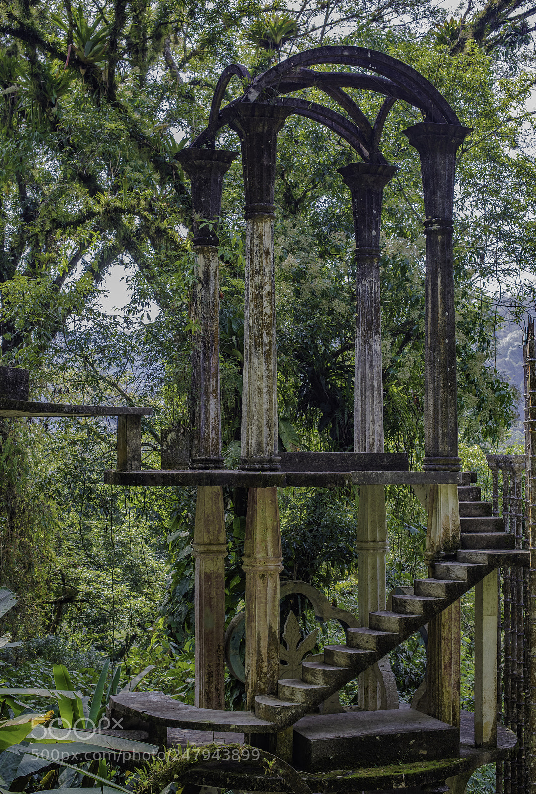 Nikon D810 sample photo. Secret garden 2 photography