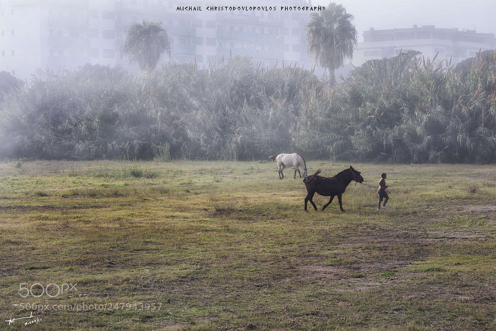 Nikon D810 sample photo. Torre del mar photography