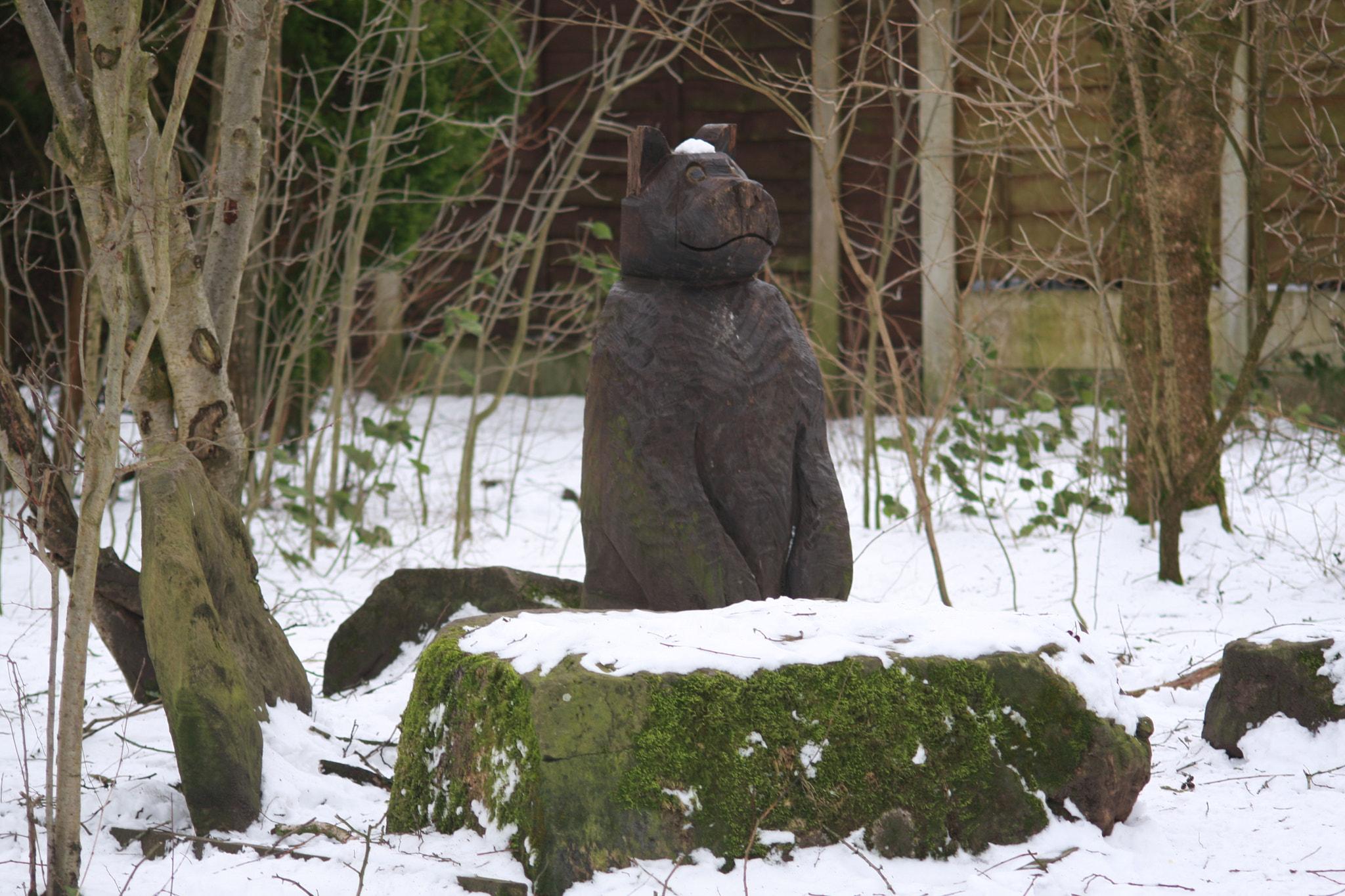 Canon EOS 40D sample photo. Wooden bear in 'beast from the east' , uk photography