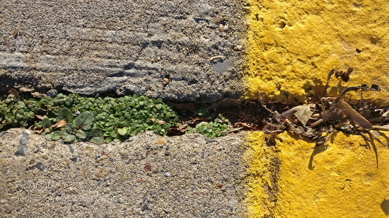 OnePlus A3000 sample photo. Border photography