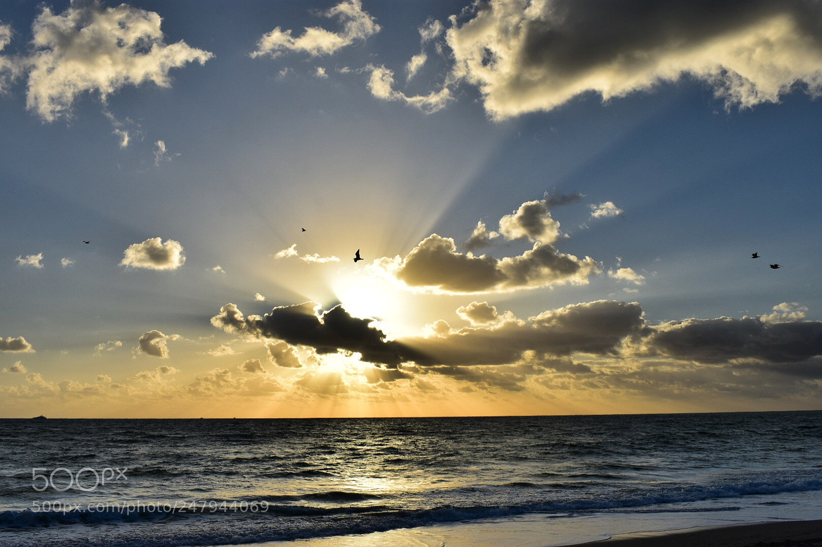 Nikon D3400 sample photo. Hollywood beach, florida. photography