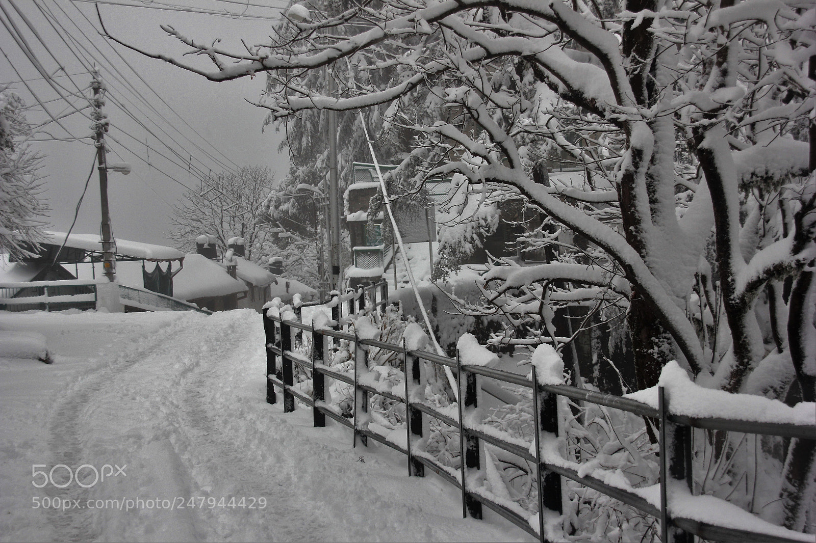 Canon EOS 550D (EOS Rebel T2i / EOS Kiss X4) sample photo. Blanket of snow photography