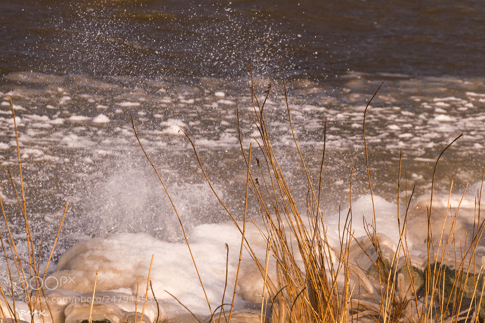 Nikon D500 sample photo. Freezing cold wind. photography