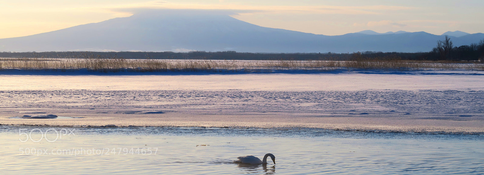 Canon PowerShot G7 X sample photo. Hokkaido x winter photography