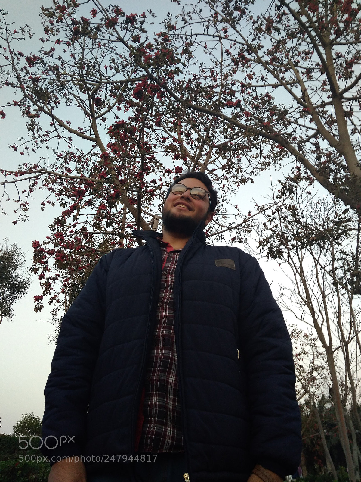 Xiaomi Redmi 4A sample photo. Natural photo photography