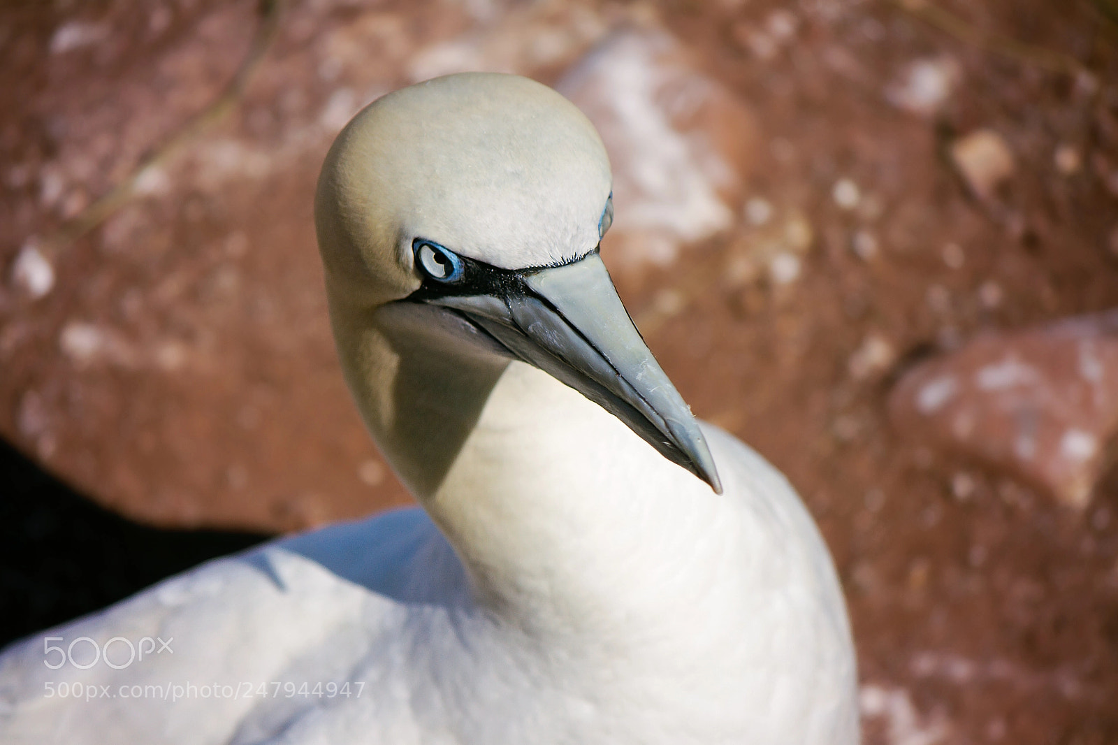 Canon EOS 7D sample photo. Regard bleu photography