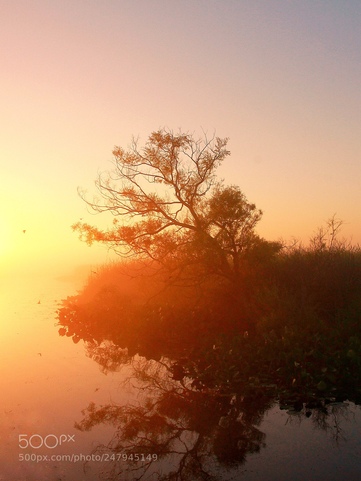 Canon EOS 7D sample photo. Sunrise at point pelee photography