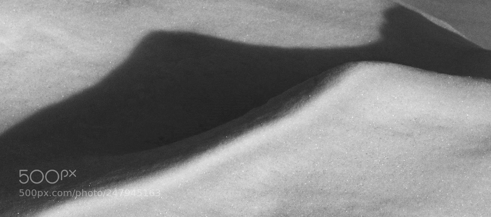Canon EOS 7D Mark II sample photo. Snow photography