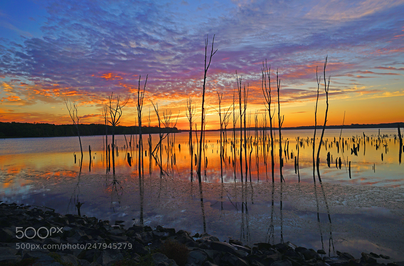 Sony a7R II sample photo. Morning glory photography