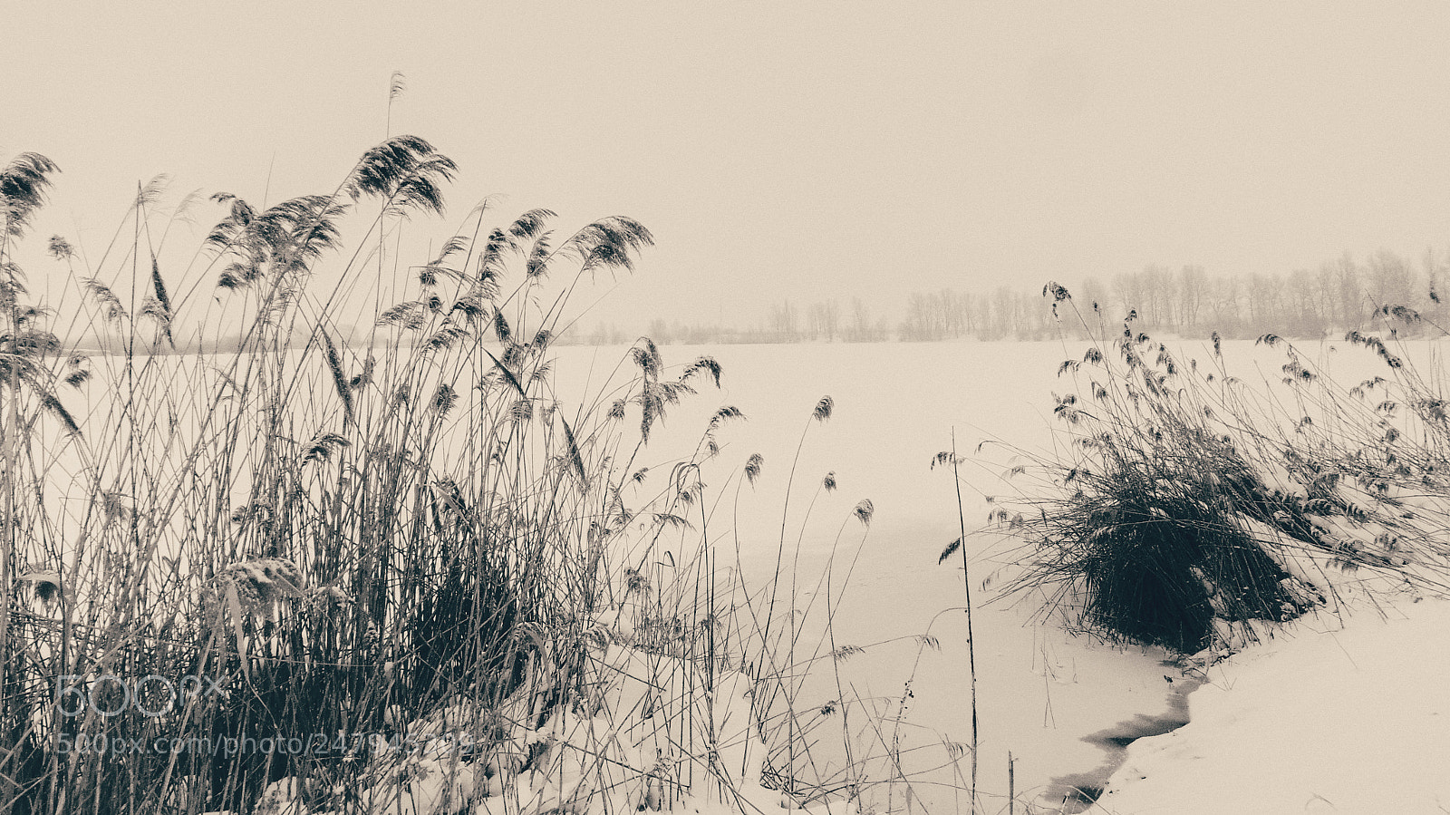 Sony Cyber-shot DSC-H300 sample photo. Frozen lake photography