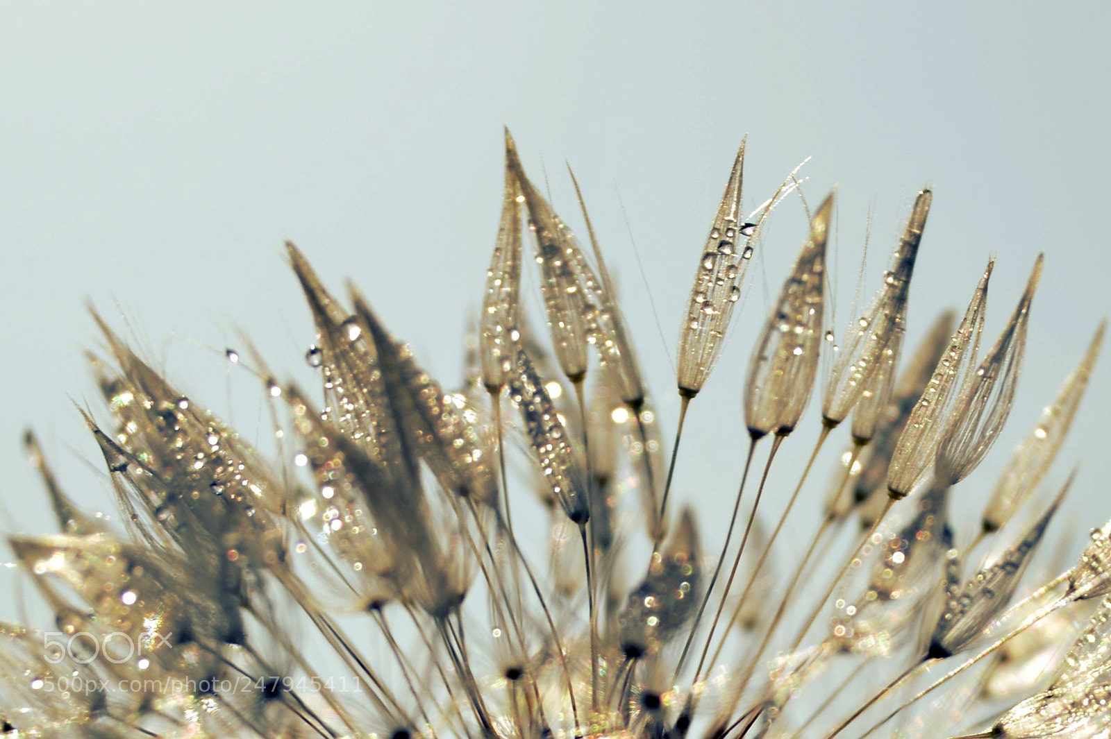 Nikon D3200 sample photo. Nature photography