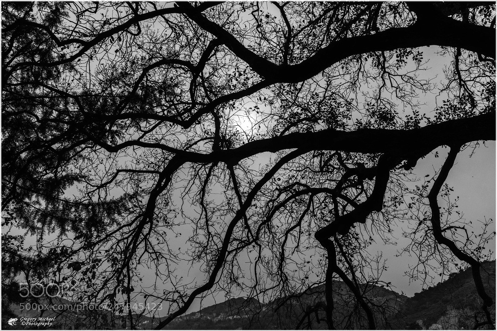 Nikon D7100 sample photo. Untitled photography