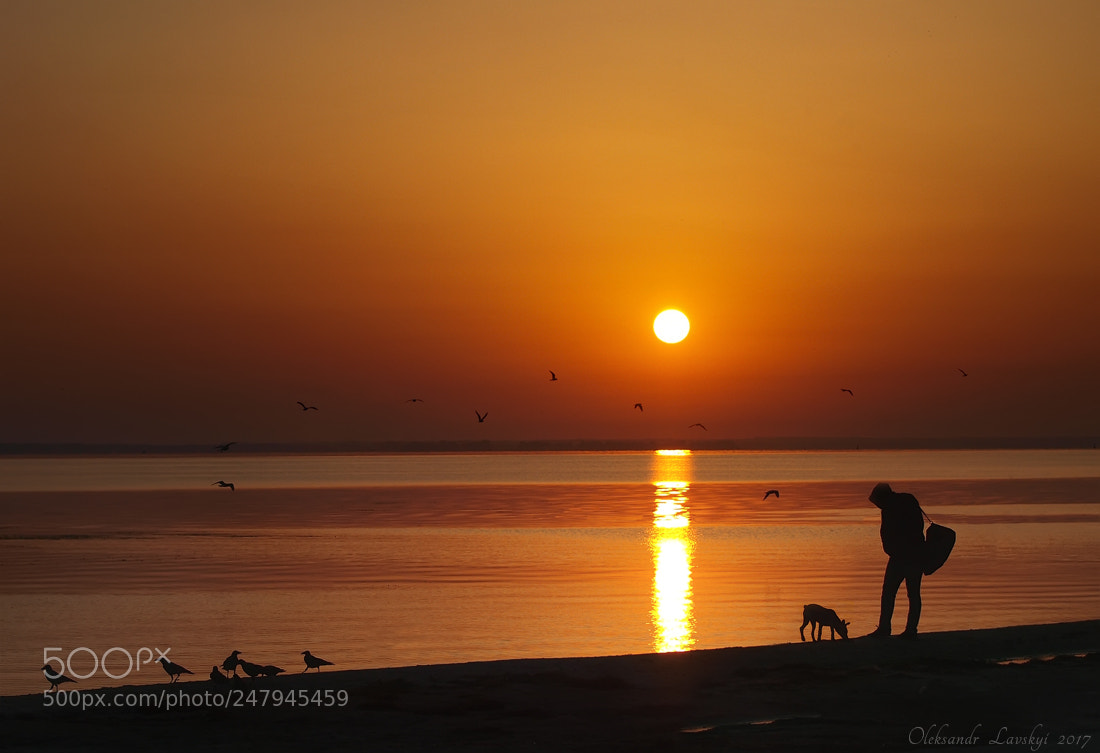 Olympus E-3 sample photo. Summer sunrise photography