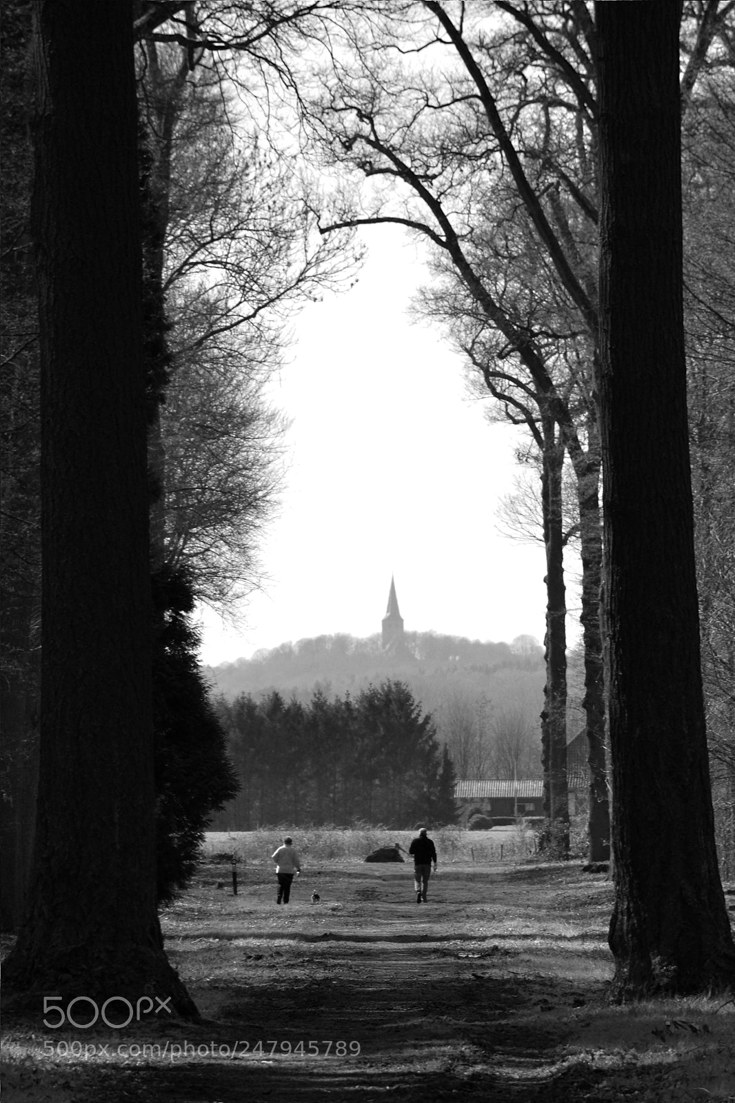 Nikon D5200 sample photo. Cold walk photography