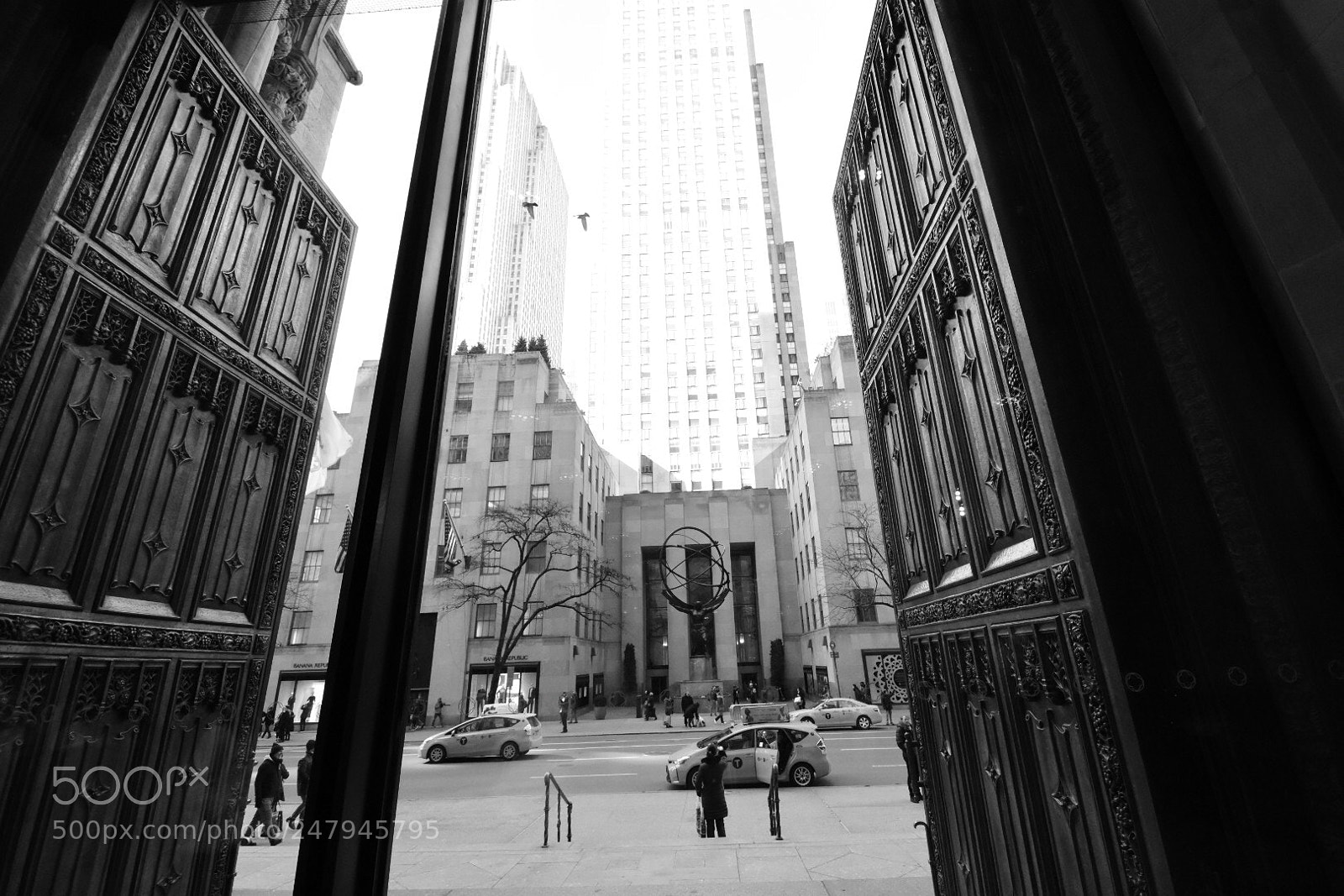 Nikon D7200 sample photo. Untitled photography