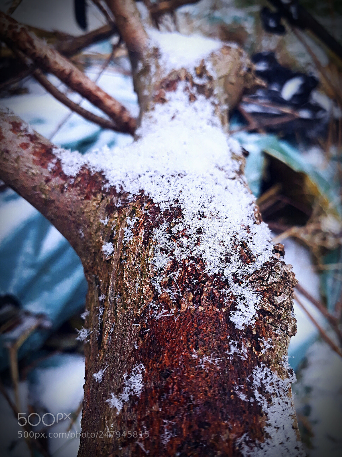 Samsung Galaxy A3(2017) sample photo. Snow photography